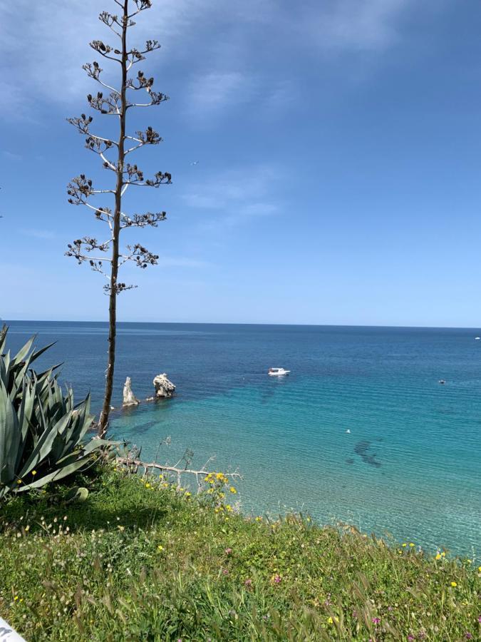 Fiori D'Arancio Apartman Terrasini Kültér fotó